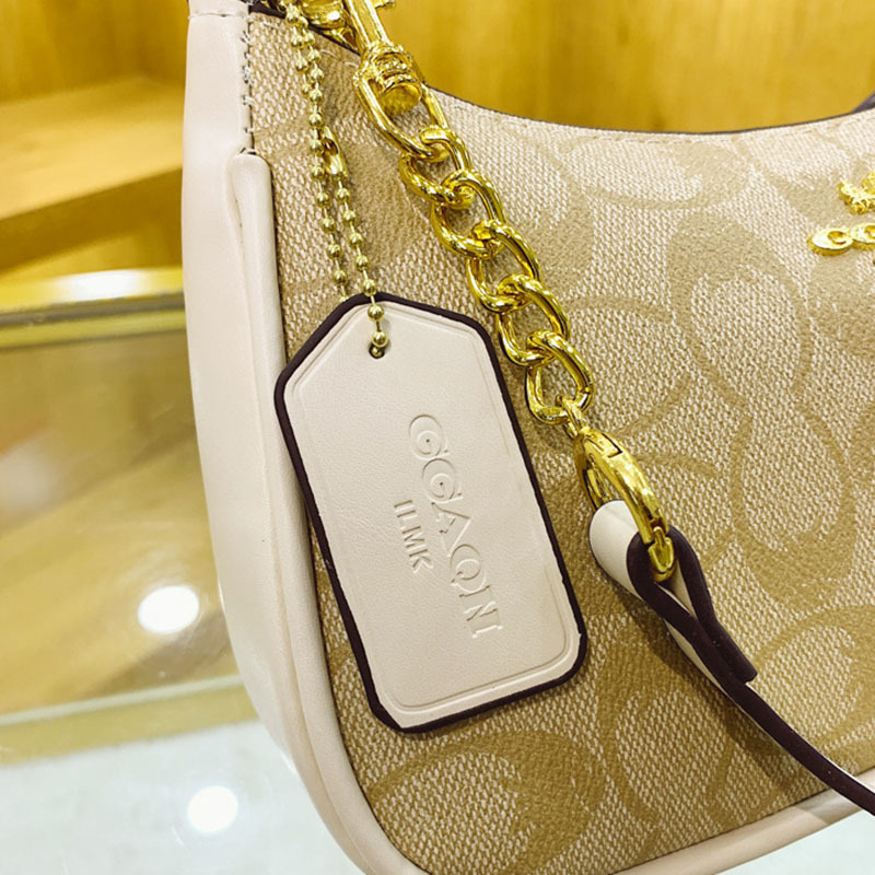 Borse a catena da donna in PVC - Luxury Bags Coach recensione e prezzo